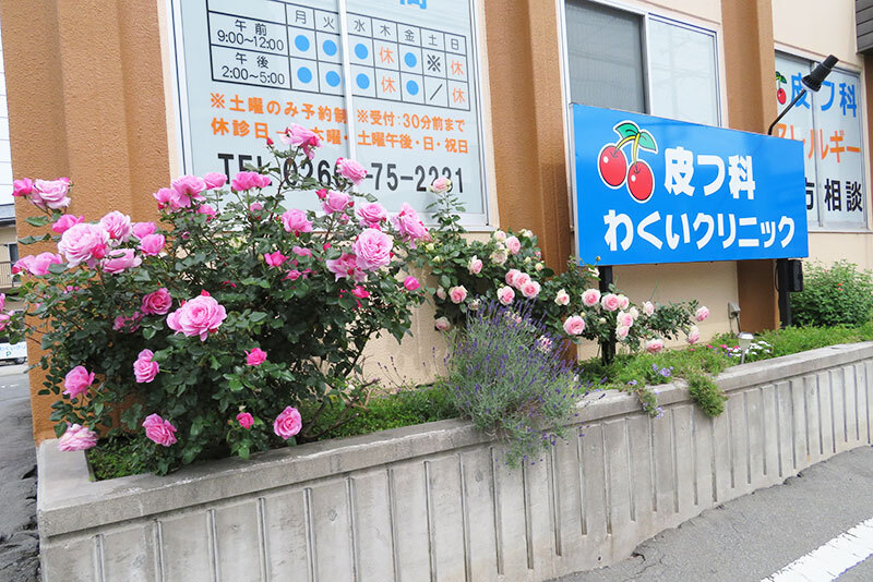 皮フ科わくいクリニック 外観